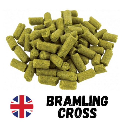 Bramling Cross Hop Pellets 50g
