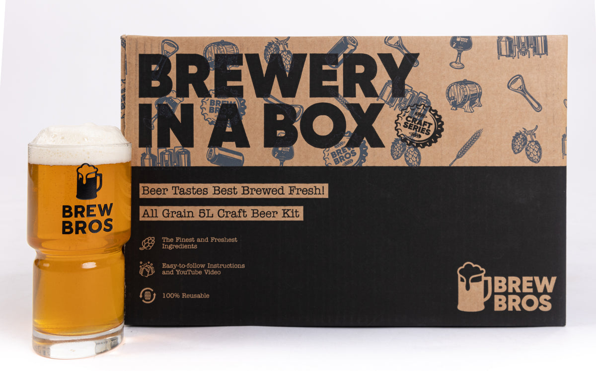 Brew Box Ramon Brewery in a Box Craft Series | Tribute to Punk IPA | Beer Making Kit ...